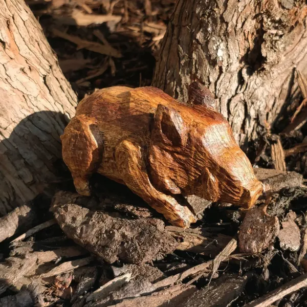 Small boar from Boars Hill by Wondiu