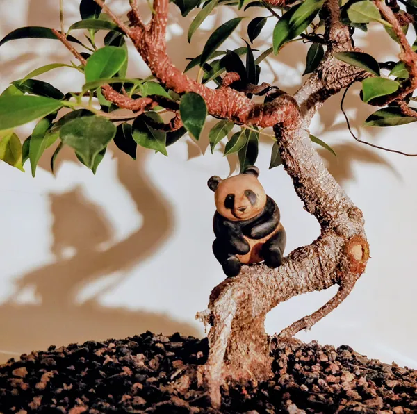 Little panda in sycamore wood by Wondiu